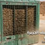صيانة مكيف صحراوي الجزيرة: أسرار التخلص من الأملاح والروائح للأبد
